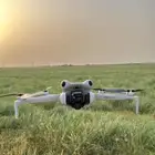 مصور درون
