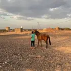 مهر نقليزي.مشروك