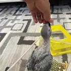 فرخ كاسكو غر حجم سوبر جانبو