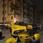 قولد وينق مخزن 2001