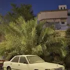 كرسيدا 1991 xl