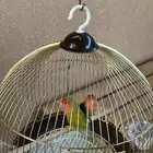 روز