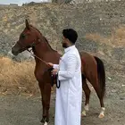 مهره واهو حفيدة ابها قطر