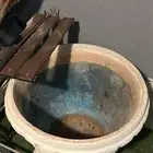 حوض زراعي
