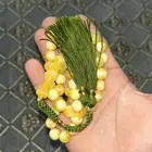 مسباح للبيع على السوم