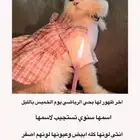 مكافاة مالية من يجدها يتواصل معي
