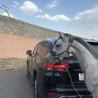حصان شعبي فحل