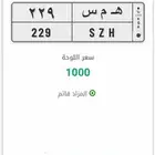 لوحة مميزه منتهي بالبيع ه م س همس 229