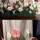 ورد استقبال بنت