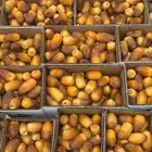 صفري بيشه حبه كبير شي كفو الكرتون ب 20