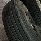 جنوط و كفر شواهين للبيع استخدام 20 يوم