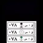 لوحة مميزة (قاس)(78)