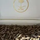 ع ود مروقي دقة محسن درجة أولى