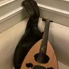 عود زرياب عراقي