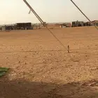 مطلووب عزبه حلال للبيع الرويدف الحلقه الشرقيه