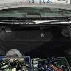 حمضيات قديم