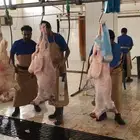 ذبايح