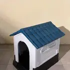 بيت قطط