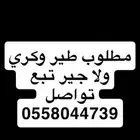 مطلوب طير وكري مطلوب طير وكري 2500 حولها ولا جير تبع