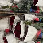 ورد بالجمله