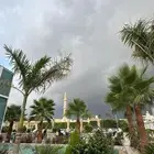 مطلوب باترول