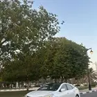 ازيرا 2015