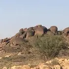 مطلوب مزرعه للايجار