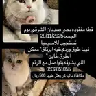 اللي يلقاه له 500 والله على مااقول شهيد