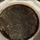 عسل سمره شمع حر