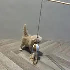 قطه