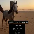 مهر