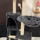 خداشه للقطط