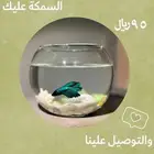 للطلب تواصل خاص