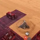 مدات سجادتي حمراء