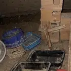 مستلزمات طيور