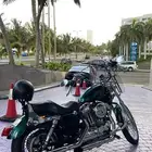 هارلي 72