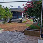 مطلوب شاليه في حي الرمال تنال