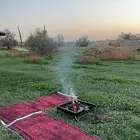 مدات رياش