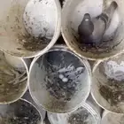 حمام سلفر للبيع