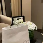 كيس فان كليف حجم كبير