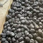 عجوي كميه 8 طن