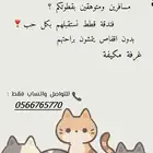 فندقة قطط بدون اقفاص