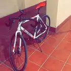 Performer bike size 54