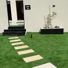مجالس ومخيمات