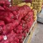 بصل وبطاطس ونعناع وغيره
