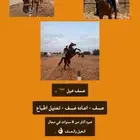 عسف خيل