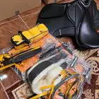 سرج ستيتوس