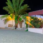دوار للبيع او للايجار
