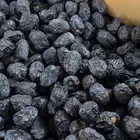 تمر عجوه المدينه