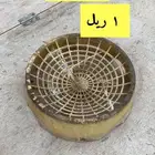 حضانة صيصان
